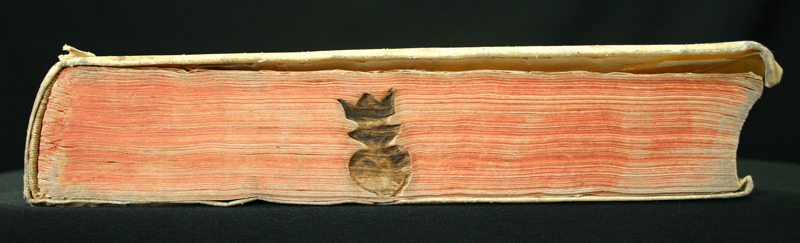 9635 canto.jpg
